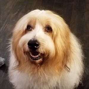 Meet your Posher, Jackie